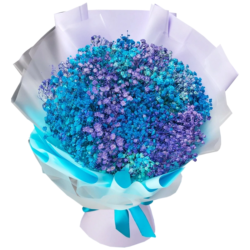 Букет из 15 сине-фиолетовых гипсофил