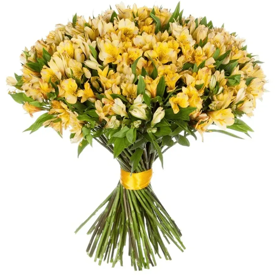 Желтые альстромерии